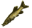 fisch.png
