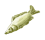 karpfen.png