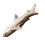 riffhai.png