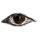 spy.png