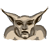 clangor.png