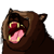 grizzly.png